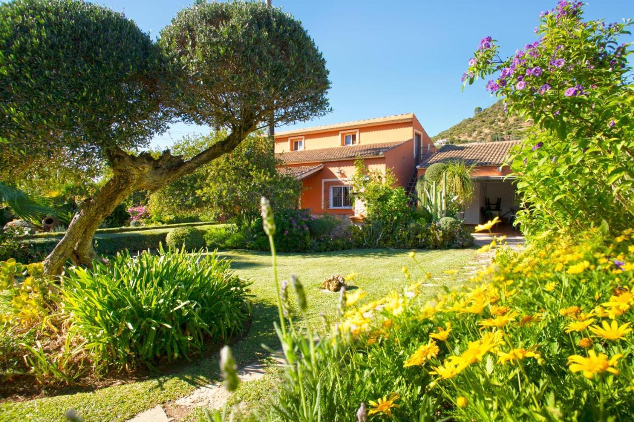 Casa Rural Los Ninos Algodonales Dış mekan fotoğraf
